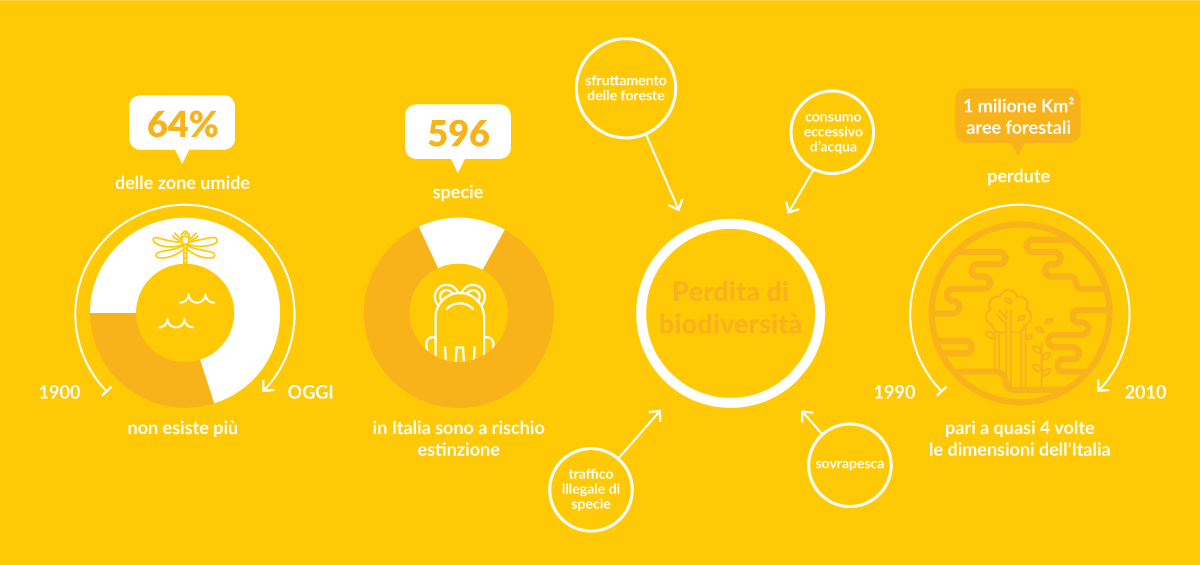 infografica biodoversità