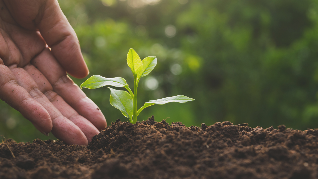 People, biodiversity and land care