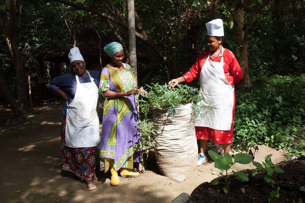 A community garden lead by women