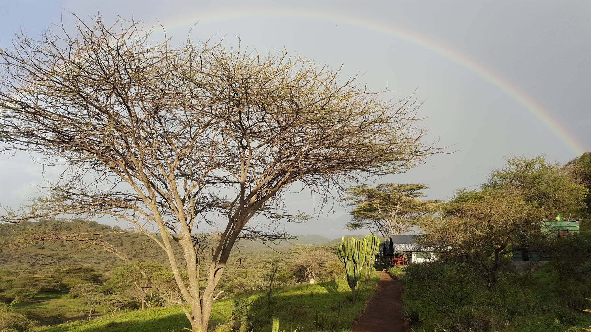 Un grande sogno, ai piedi del Kilimanjaro