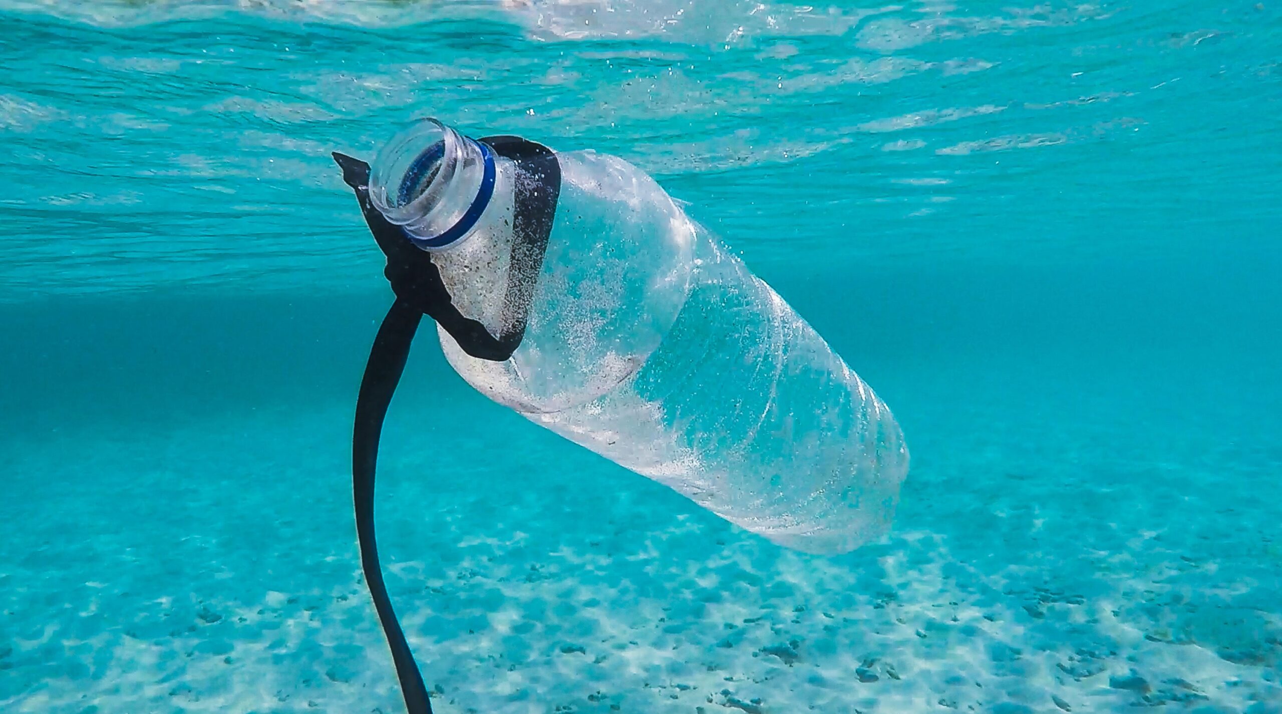 Cinque consigli per un’estate Plasticfree