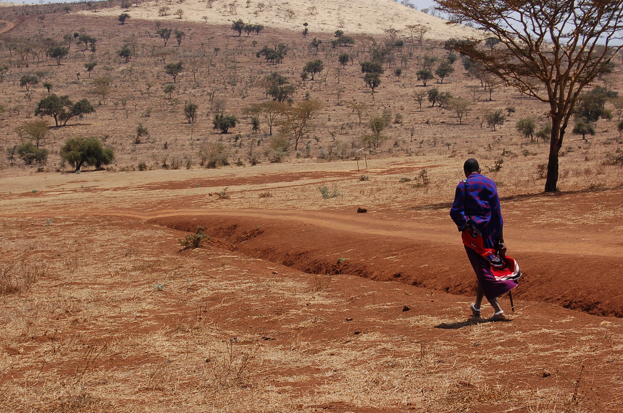 Una siccità senza precedenti sta colpendo l’Africa Orientale