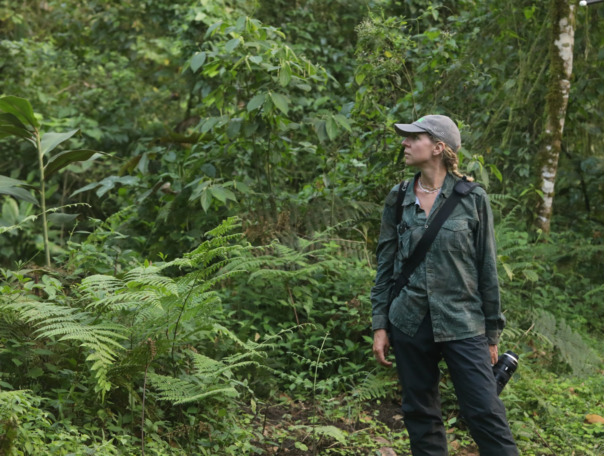 Siccità e deforestazione: un binomio fatale per l'Amazzonia pluviale nell'era del cambiamento climatico