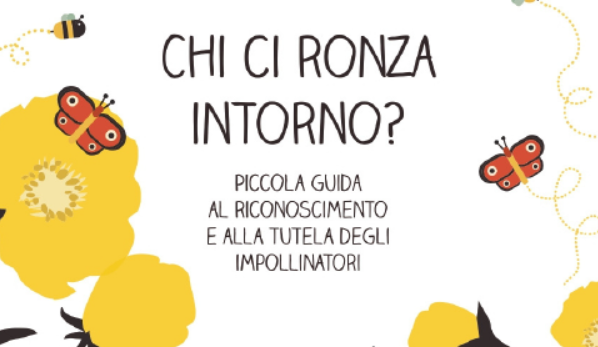 Chi ci ronza intorno?