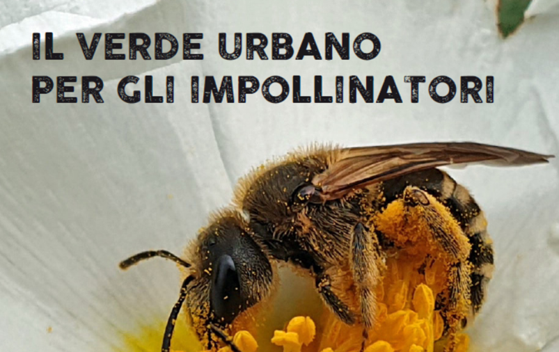 Il verde urbano per gli impollinatori