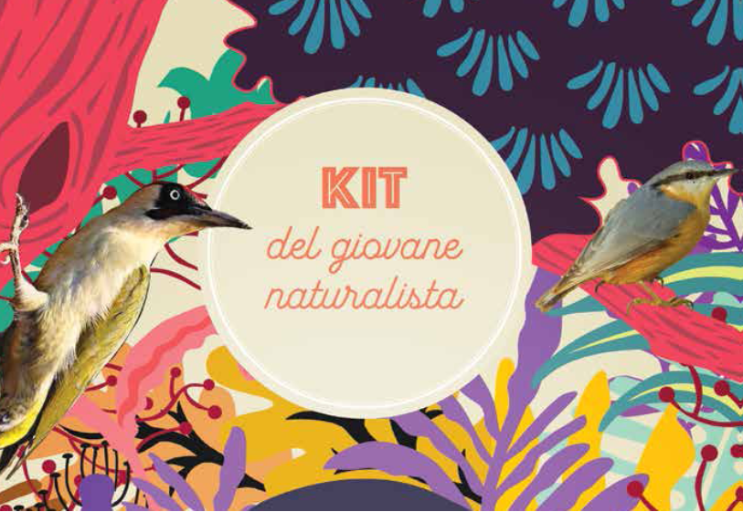 Kit del giovane naturalista