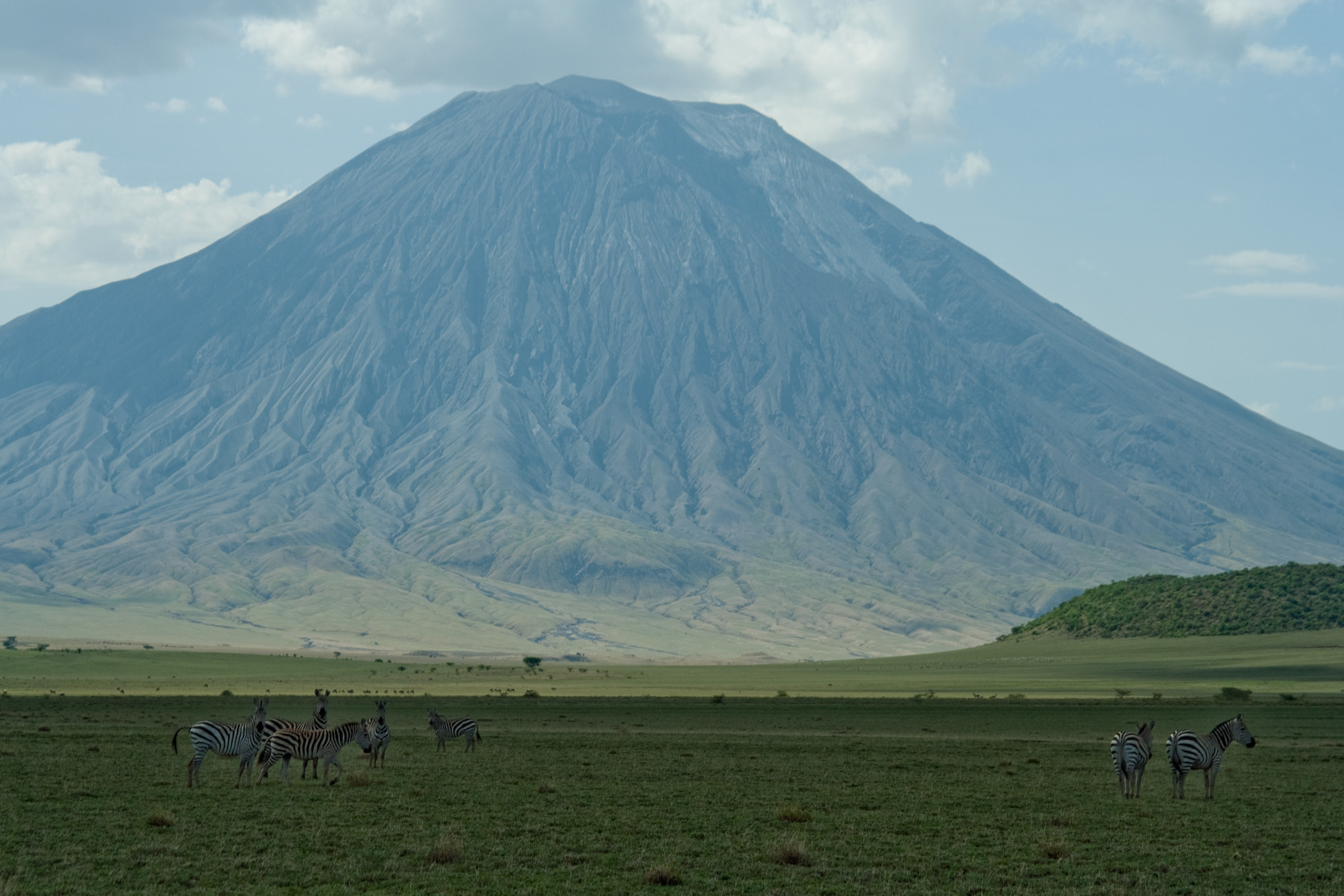 Agricoltori di montagna e pastori della savana