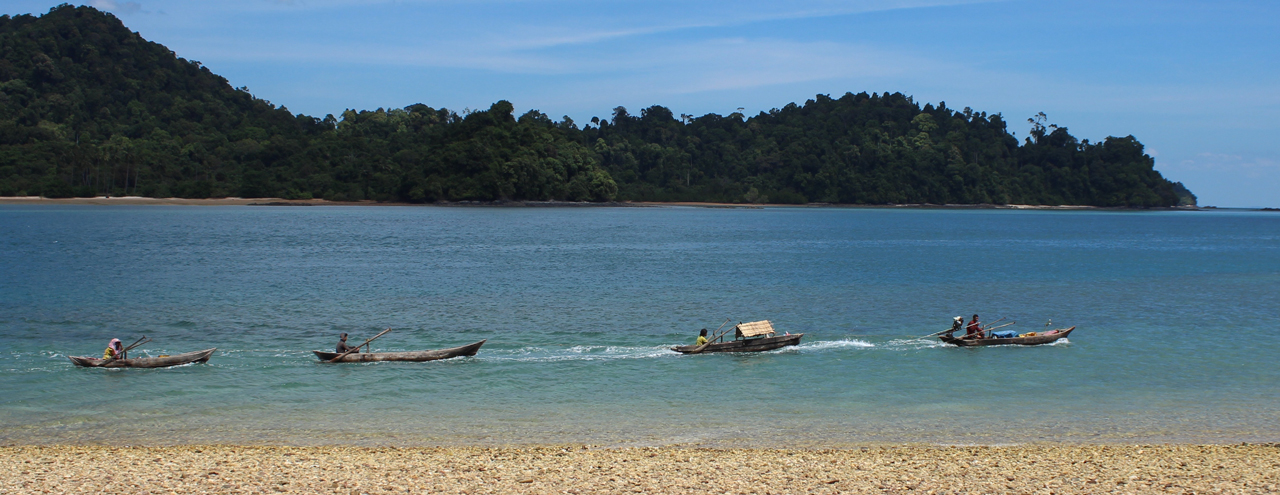 Marine biodiversity, a precious resource