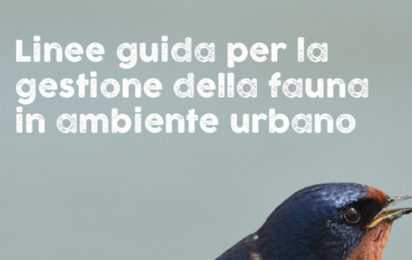 Gestione della fauna in ambiente urbano