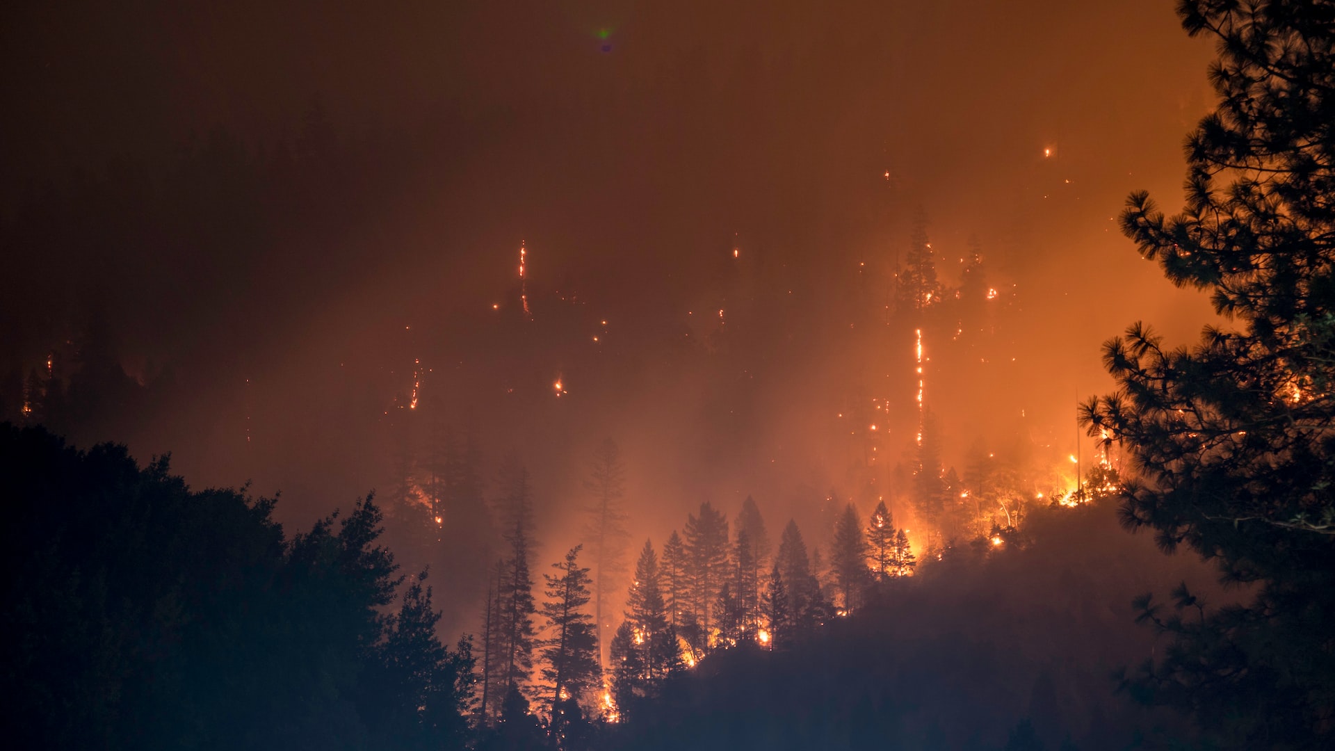 Gli incendi in Europa non sono mai stati così tanti