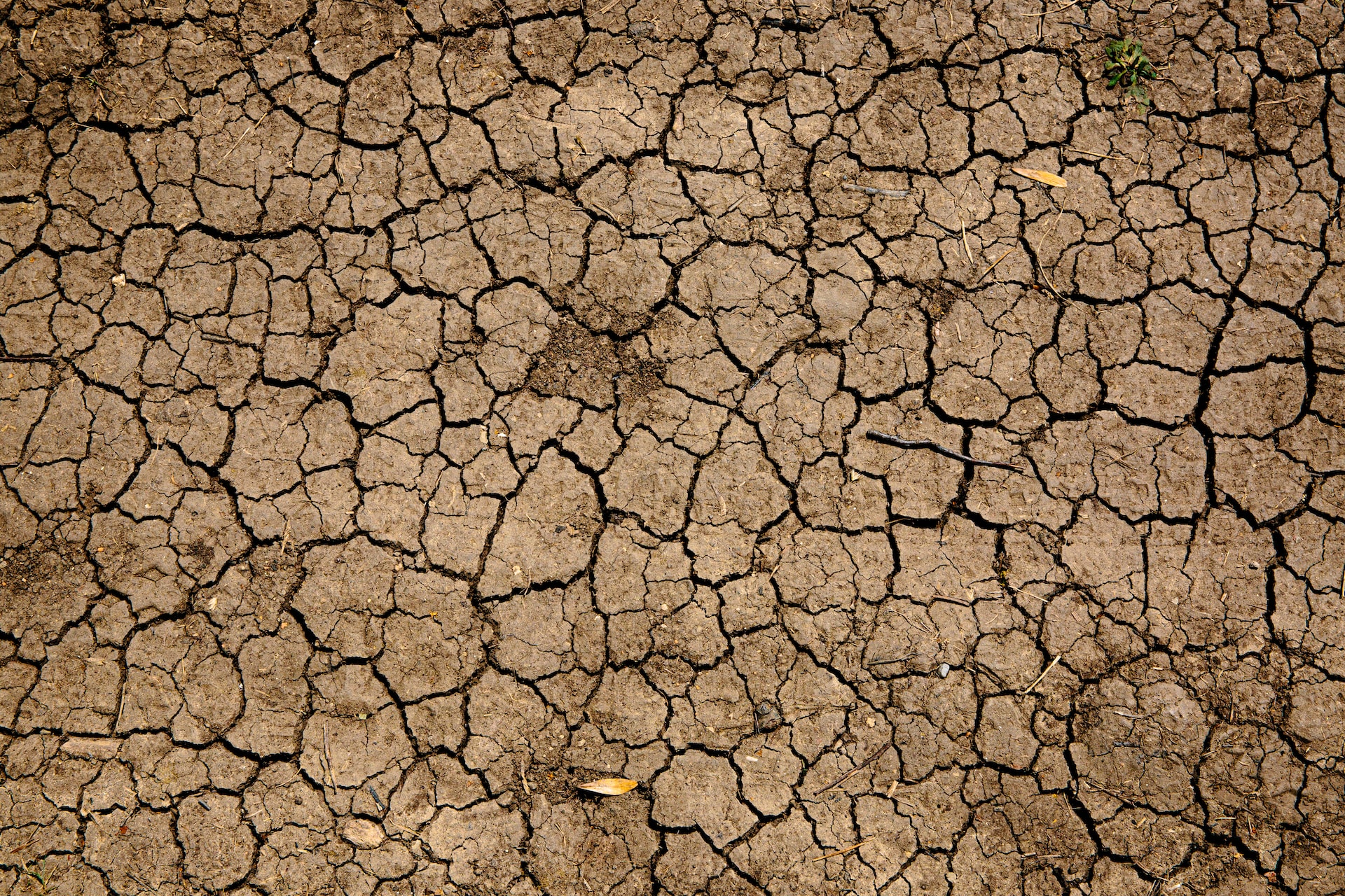 La siccità più grave degli ultimi 40 anni