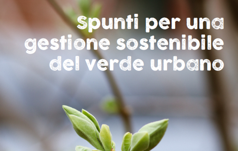 Spunti per una gestione sostenibile del verde urbano