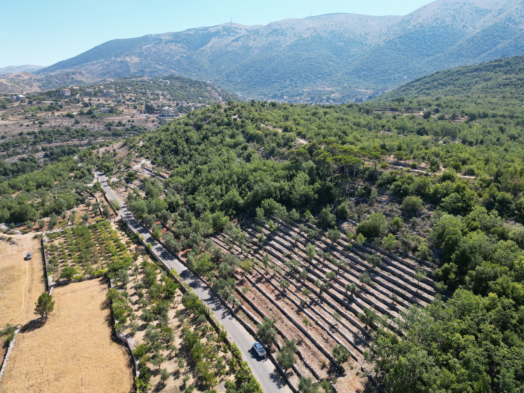 Migration of experiences across the Mediterranean