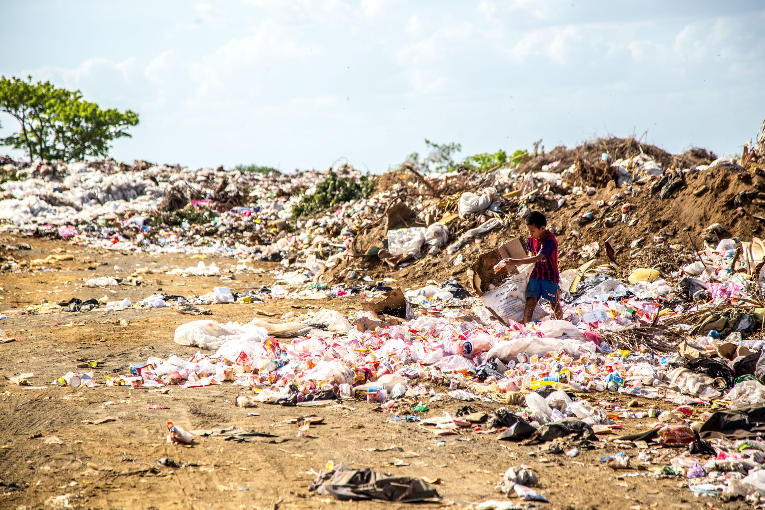 Di plastica, funghi e insetti: storie di appetiti fuori dal comune